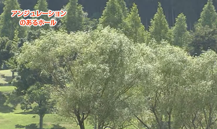 アンジュレーションのあるホール～12Hセカンド～